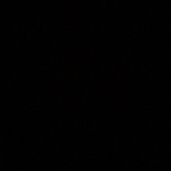 Meet your Posher, Bianca - Picture 1 of 1